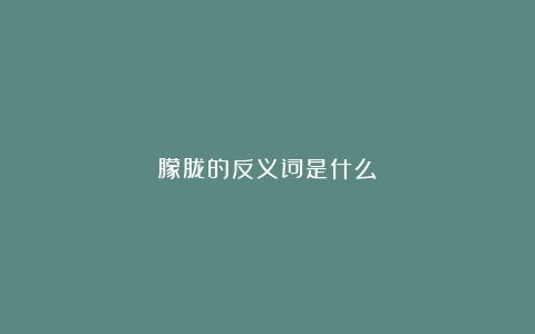 朦胧的反义词是什么