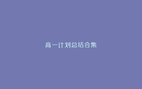 高一计划总结合集