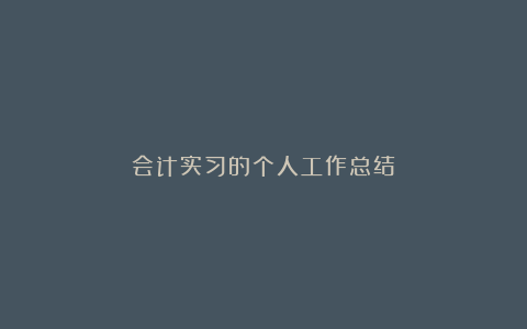 会计实习的个人工作总结