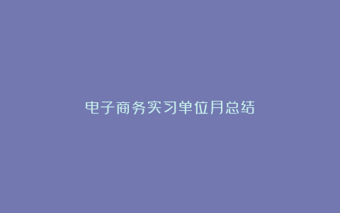 电子商务实习单位月总结