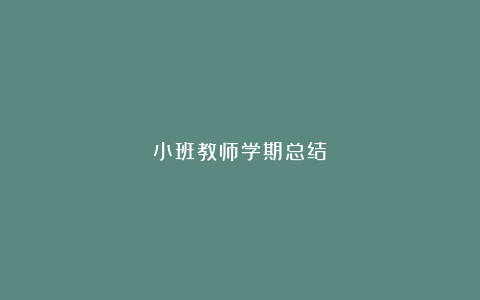 小班教师学期总结