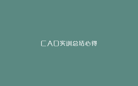 CAD实训总结心得