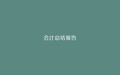 会计总结报告