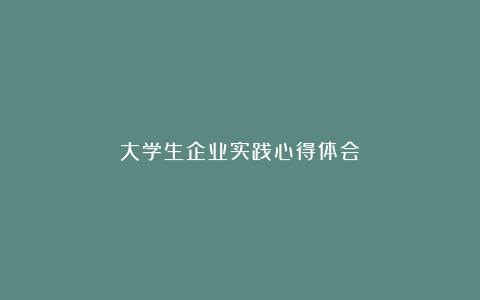 大学生企业实践心得体会