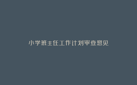 小学班主任工作计划审查意见