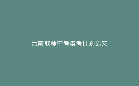 云南教师中考备考计划语文