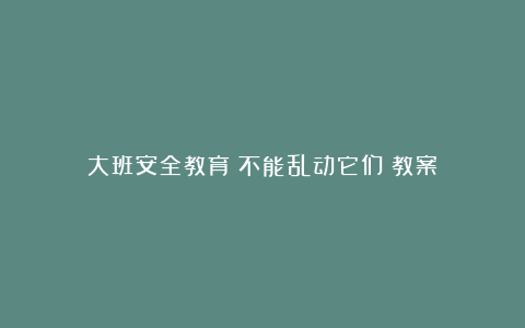 大班安全教育《不能乱动它们》教案