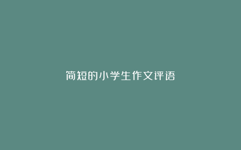 简短的小学生作文评语