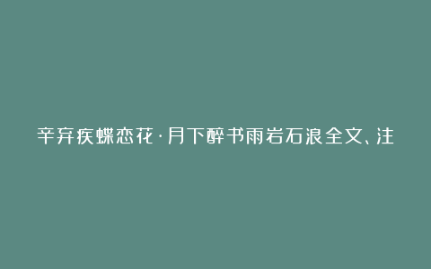 辛弃疾蝶恋花·月下醉书雨岩石浪全文、注释、翻译和赏析_宋代