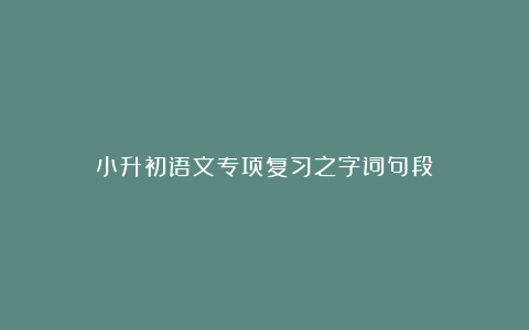 小升初语文专项复习之字词句段