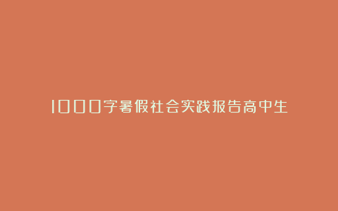 1000字暑假社会实践报告高中生