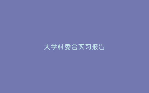 大学村委会实习报告