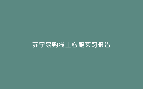 苏宁易购线上客服实习报告