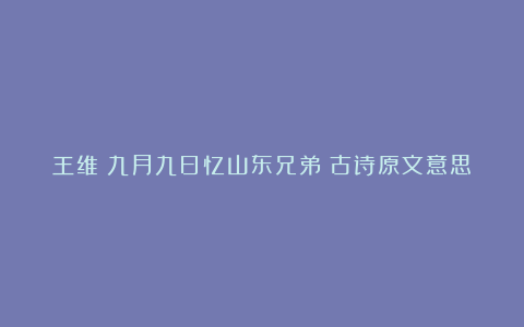 王维《九月九日忆山东兄弟》古诗原文意思赏析