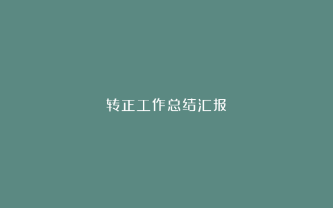 转正工作总结汇报