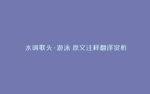 《水调歌头·游泳》原文注释翻译赏析