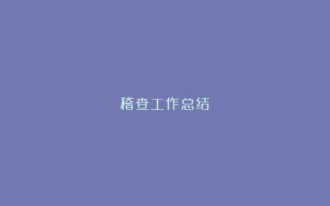 稽查工作总结