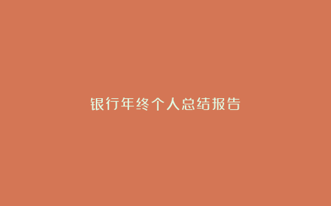 银行年终个人总结报告