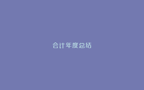 会计年度总结