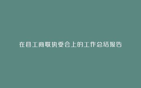 在县工商联执委会上的工作总结报告