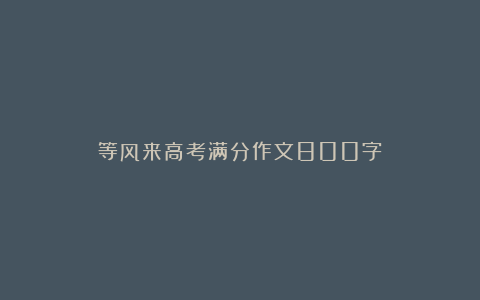 等风来高考满分作文800字