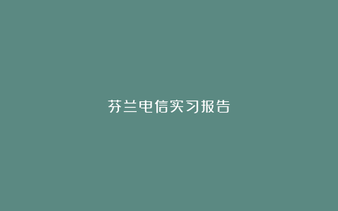 芬兰电信实习报告