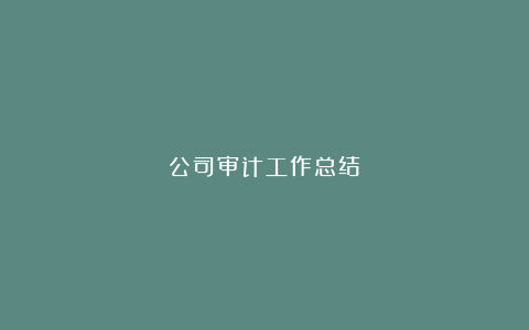 公司审计工作总结