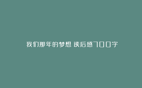 《我们那年的梦想》读后感700字