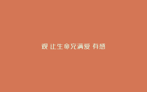 观《让生命充满爱》有感