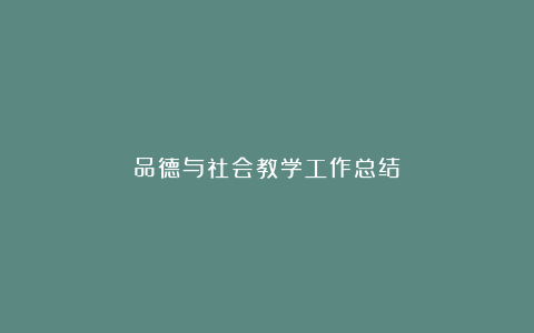 品德与社会教学工作总结