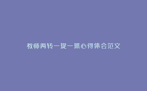 教师两转一提一抓心得体会范文