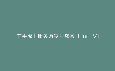 七年级上册英语复习教案 Unit VIII (新目标版英语七年级)