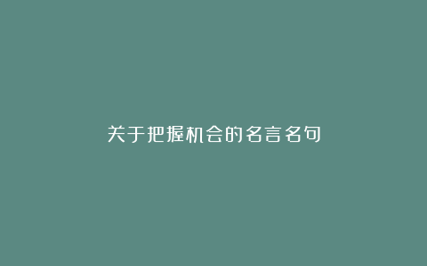 关于把握机会的名言名句