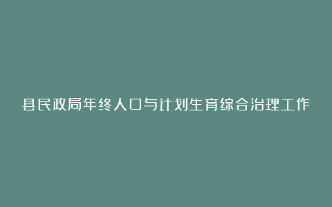 县民政局年终人口与计划生育综合治理工作总结