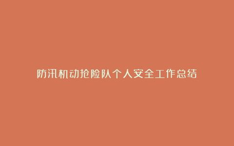 防汛机动抢险队个人安全工作总结