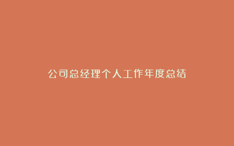 公司总经理个人工作年度总结