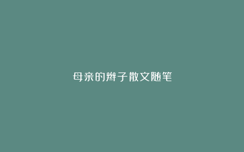 母亲的辫子散文随笔