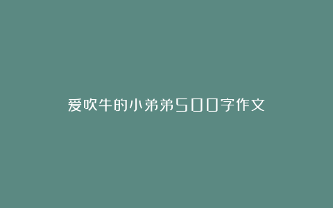 爱吹牛的小弟弟500字作文