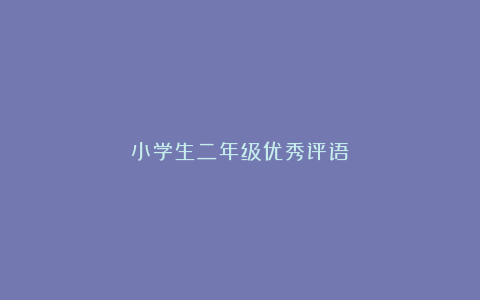 小学生二年级优秀评语