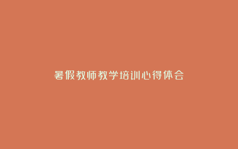 暑假教师教学培训心得体会