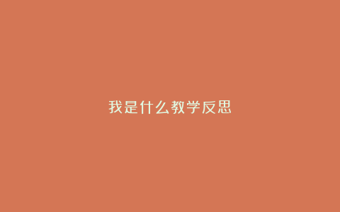 我是什么教学反思