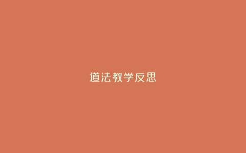 道法教学反思