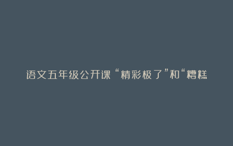 语文五年级公开课《“精彩极了”和“糟糕透了”》说课稿