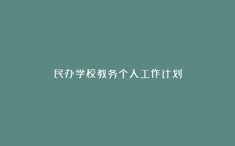 民办学校教务个人工作计划