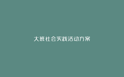 大班社会实践活动方案