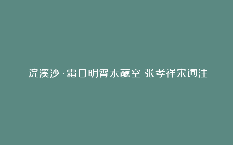 《浣溪沙·霜日明霄水蘸空》张孝祥宋词注释翻译赏析