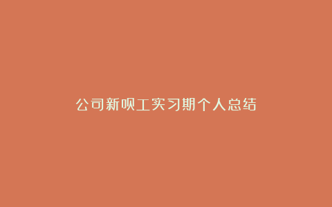 公司新员工实习期个人总结