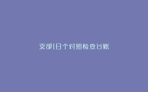 支部18个对照检查台账