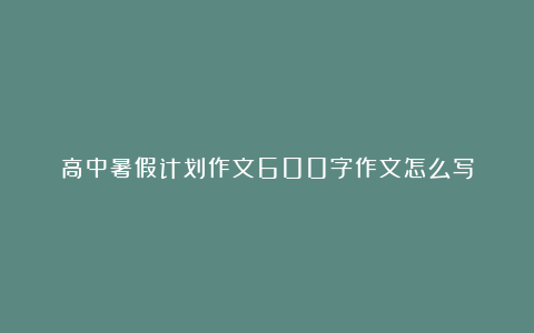 高中暑假计划作文600字作文怎么写