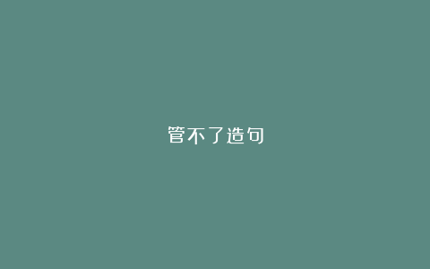 管不了造句